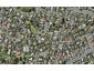 16C Blue Gum Rise, Sunnyhills, Auckland - Carousel 1