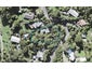 11 Ocean View Road, Huia, Auckland - Carousel 1