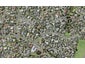 8 Fratley Avenue, Farm Cove, Auckland - Carousel 1