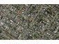 1 Tawhiri Road, One Tree Hill, Auckland - Carousel 1