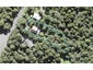 775 Scenic Drive, Henderson Valley, Auckland - Carousel 1