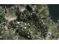 36 Great Barrier Road, Oneroa, Waiheke Island - Carousel 1