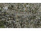 39A Target Road, Totara Vale, Auckland - Carousel 1