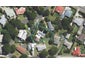4 Ropata Street, Kaiti, Gisborne - Carousel 1