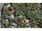 196 Atkinson Road, Titirangi, Auckland - Carousel 1