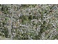 7/17A Eastglen Road, Glen Eden, Auckland - Carousel 1