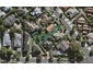7F Dunkerron Avenue, Epsom, Auckland - Carousel 1