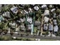9 Peach Parade, Remuera, Auckland - Carousel 1