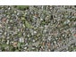 16B Blue Gum Rise, Sunnyhills, Auckland - Carousel 1