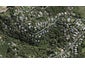 28 Coromandel Road, Oneroa, Waiheke Island - Carousel 1