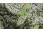 6 Ti Tree Lane, Stanmore Bay, Whangaparaoa - Carousel 1