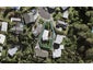 27 Dudding Avenue, Northcote, Auckland - Carousel 1