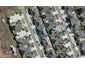 9 Dalray Avenue, Takanini, Auckland - Carousel 1