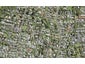 2/35C Ambler Avenue, Glen Eden, Auckland - Carousel 1