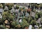 65 Watling Street, Epsom, Auckland - Carousel 1