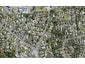 91 Atkinson Road, Titirangi, Auckland - Carousel 1