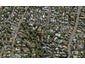 22A Aldred Road, Remuera, Auckland - Carousel 1