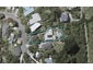 9 Whareroa Road, Raumati South, Paraparaumu - Carousel 1