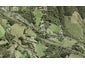 27 Waitakere Road, Waitakere, Auckland - Carousel 1