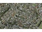22 Riverhills Avenue, Pakuranga Heights, Auckland - Carousel 1