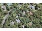 724 West Coast Road, Oratia, Auckland - Carousel 1