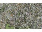 21 Sorrel Crescent, Bucklands Beach, Auckland - Carousel 1