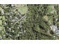 202 Shaw Road, Oratia, Auckland - Carousel 1