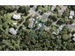 194 Glengarry  road, Glen Eden, Waitakere - Carousel 1