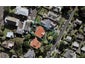 9 Cotter Avenue, Remuera, Auckland - Carousel 1