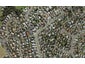 81 Sunset Road, Totara Vale, Auckland - Carousel 1