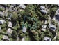 4 Inkster Street, Birkenhead, Auckland - Carousel 1