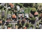 1/21A Valley View Road, Glenfield, Auckland - Carousel 1