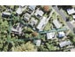 17 Marina Road, Torbay, Auckland - Carousel 1