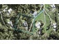 50 McCallum Drive, Sandspit, Warkworth - Carousel 1