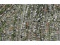 52A Richards Avenue, Forrest Hill, Auckland - Carousel 1