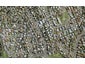 148 Finlayson Avenue, Clendon Park, Auckland - Carousel 1