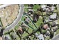 18 Hayman Place, Beach Haven, Auckland - Carousel 1