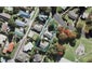 1/72 Nikau Street, New Lynn, Auckland - Carousel 1