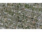 17D Peary Road, Mount Eden, Auckland - Carousel 1