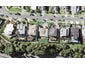 85 Pine Harbour Parade, Beachlands, Auckland - Carousel 1