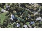 116 Attwood Road, Pāremoremo, Auckland - Carousel 1