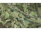 18 Waitakere Road, Waitakere, Auckland - Carousel 1
