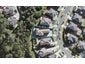 36 Harrowglen Drive, Northcross, Auckland - Carousel 1