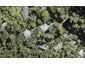 7 Valley Road, Titirangi, Auckland - Carousel 1
