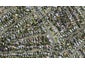 1 Dallas Place, New Windsor, Auckland - Carousel 1