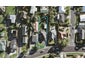 403 Hillsborough Road, Hillsborough, Auckland - Carousel 1