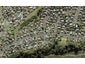 2A van Dyke Place, West Harbour, Auckland - Carousel 1