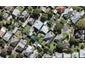 19 Brewster Avenue, Morningside, Auckland - Carousel 1
