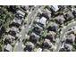 16 Springvale Drive, Fairview Heights, Auckland - Carousel 1