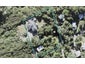 145 Cornwallis Road, Cornwallis, Auckland - Carousel 1